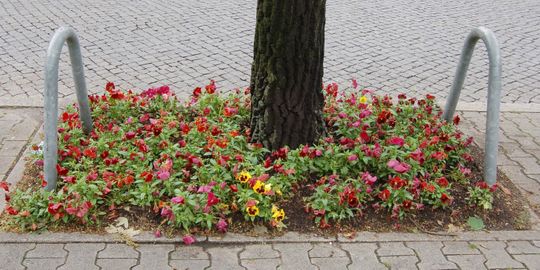 Baumpatenschaften zur Verschönerung unseres Dorfes Müggelheim